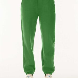 Tna relaxed mid rise green bubble fleece boyfriend sweatpants